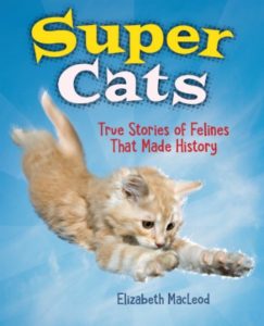 Super Cats: True Stories of Felines That Made History by Elizabeth MacLeod