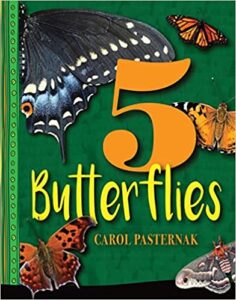 A book review of 5 Butterflies by Carol Pasternak