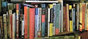 One of my Nonfiction Book Shelves