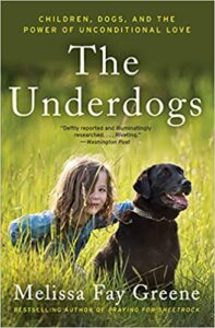 https://www.goodreads.com/book/show/26156408-the-underdogs